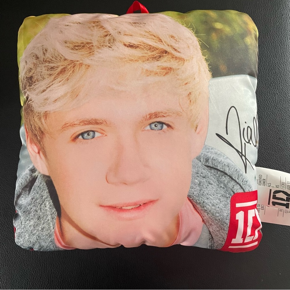 1D Decorative Pillow with Niall image and Autograph Design 10 in Square cushion